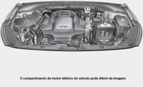 Compartimento do motor elétrico