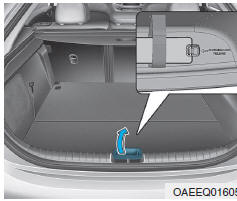 Desbloqueio do conector de carregamento numa emergência