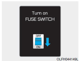 Ligue o "FUSE SWITCH"